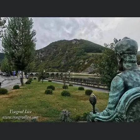 Karganovic Daire *